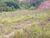 Terreno, 2 hectares - Foto 12