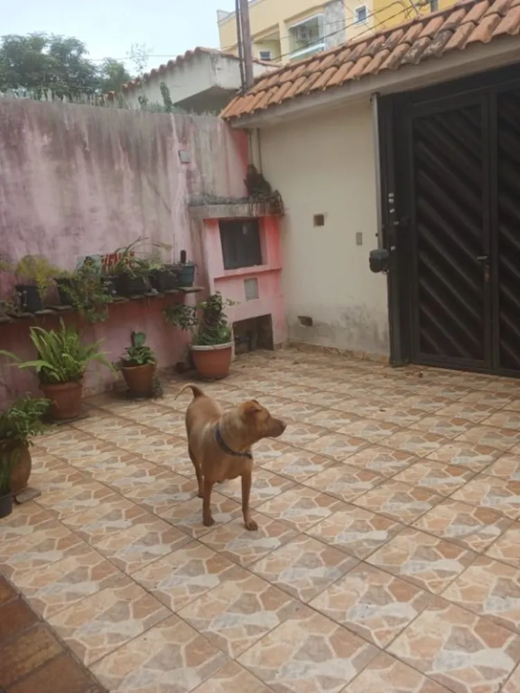 Sobrado, 3 quartos, 192 m² - Foto 12