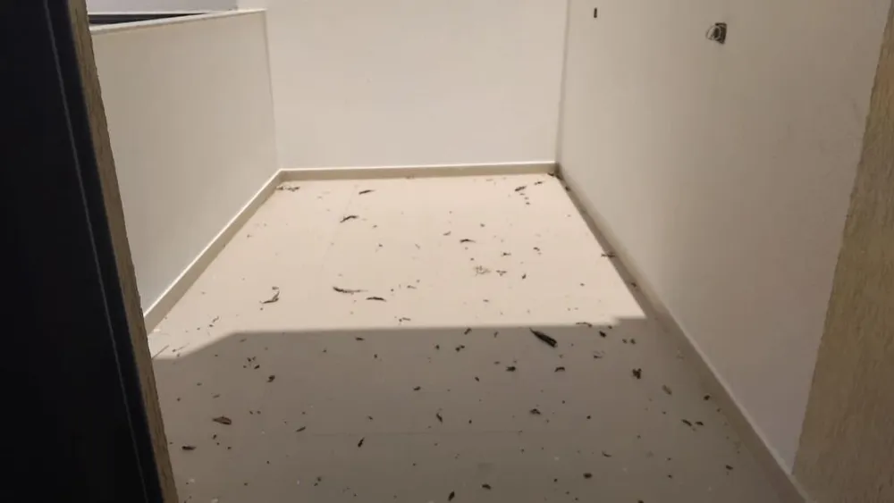 Apartamento, 3 quartos, 83 m² - Foto 1