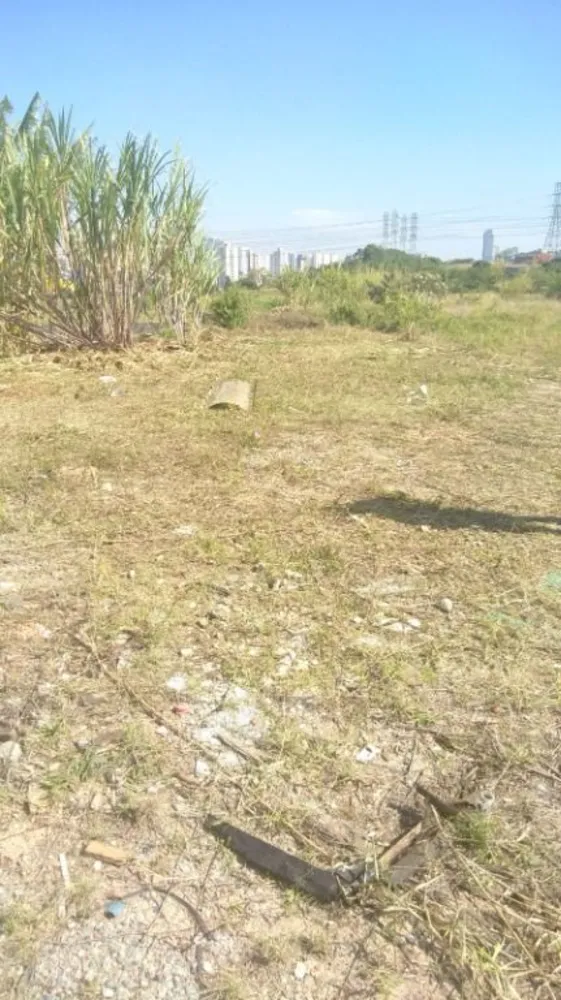 Terreno, 2360 m² - Foto 11