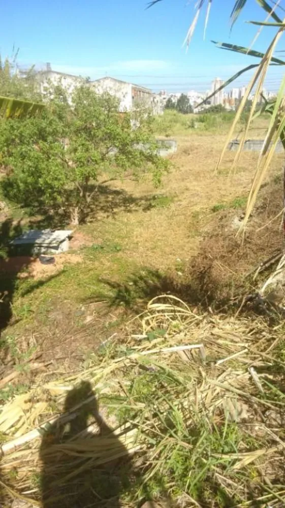 Terreno, 2360 m² - Foto 5