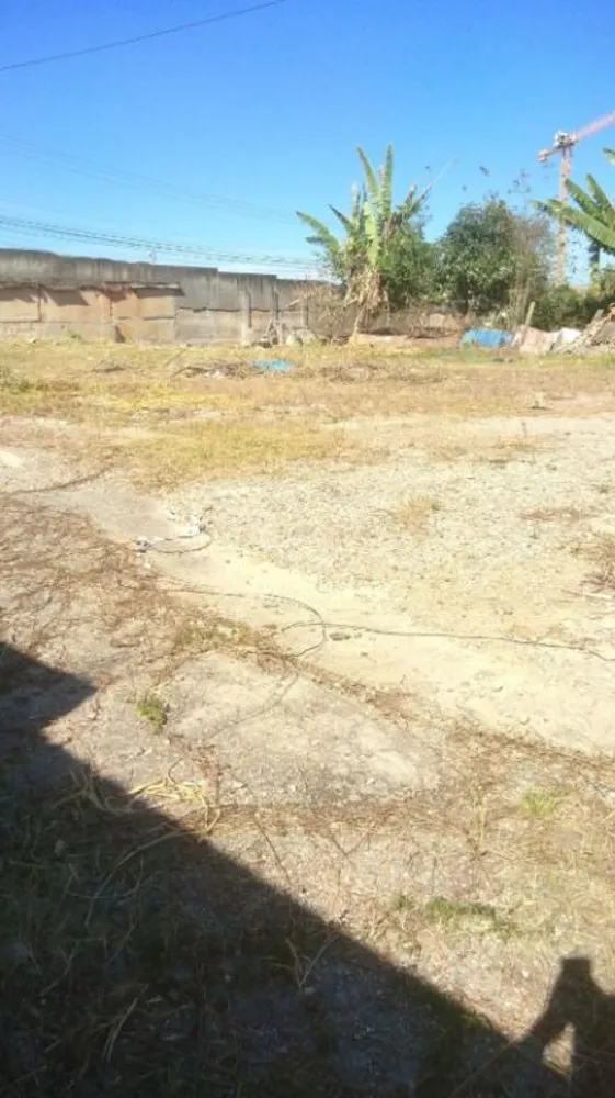 Terreno, 2360 m² - Foto 4