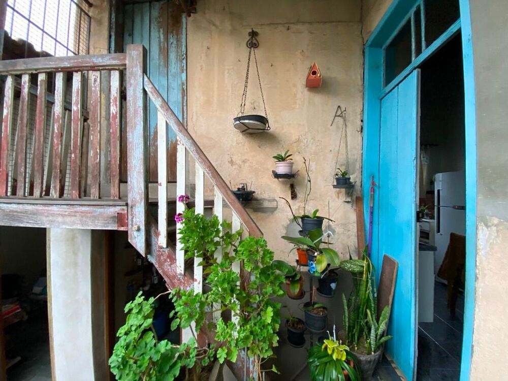 Casa, 4 quartos, 264 m² - Foto 6