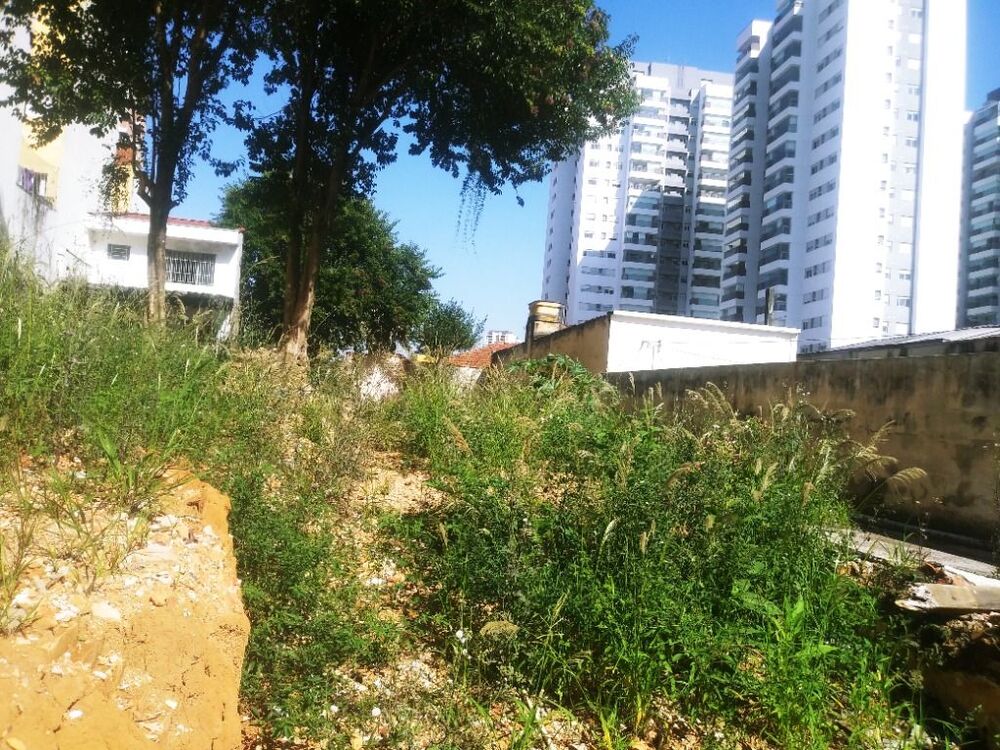 Terreno, 525 m² - Foto 3