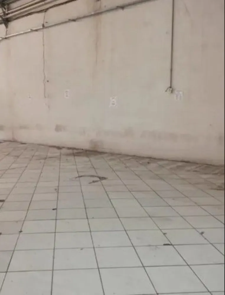Depósito-Galpão, 700 m² - Foto 14