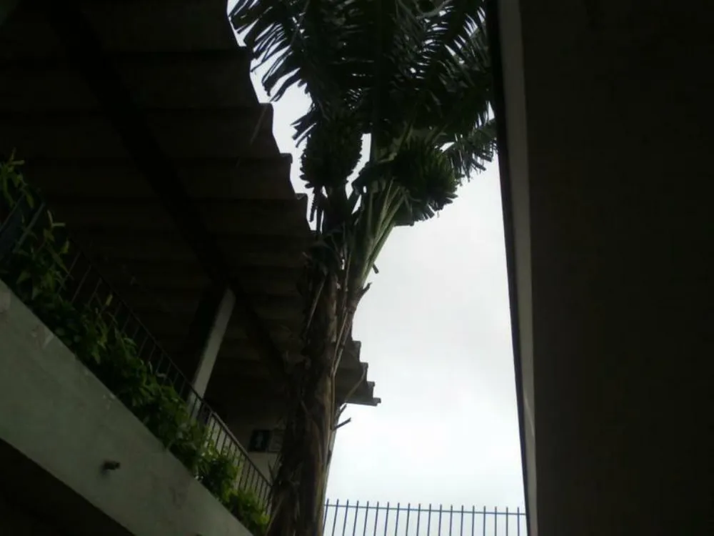 Sobrado, 3 quartos, 411 m² - Foto 14