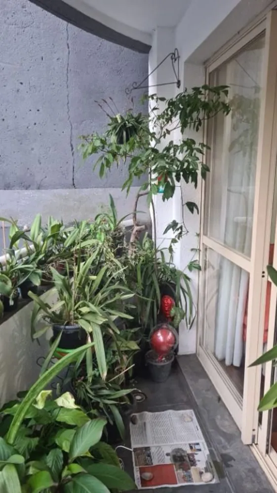 Apartamento, 3 quartos, 110 m² - Foto 11