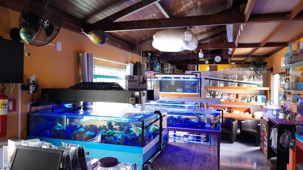 Prédio Inteiro, 231 m² - Foto 7