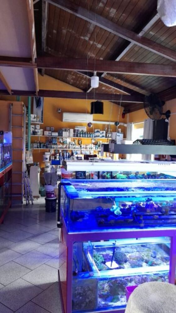 Prédio Inteiro, 231 m² - Foto 5