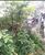 Terreno, 325 m² - Foto 1