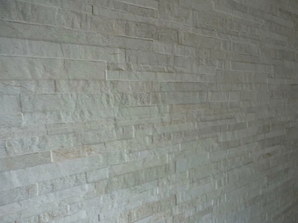 Sobrado, 4 quartos, 800 m² - Foto 4