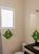 Sobrado, 3 quartos, 144 m² - Foto 2