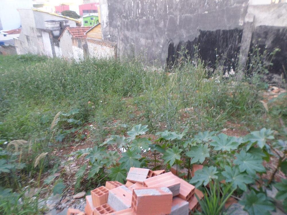 Terreno, 600 m² - Foto 3