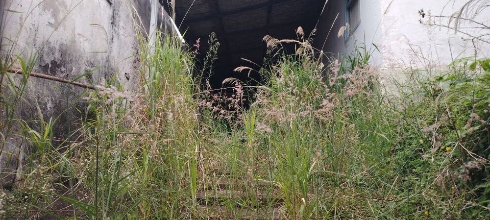 Terreno, 239 m² - Foto 3