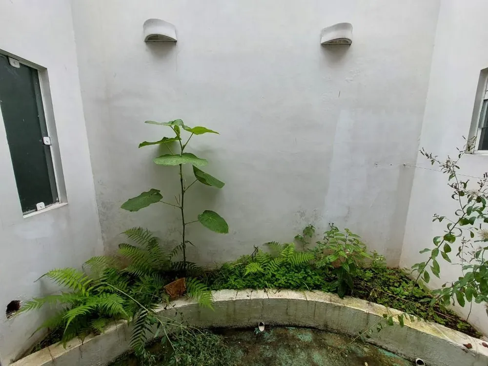 Casa, 1 quarto, 246 m² - Foto 6