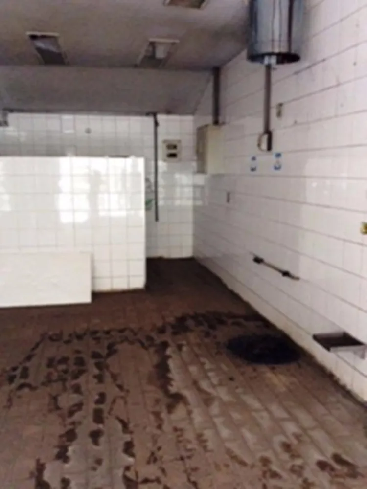 Depósito-Galpão, 3000 m² - Foto 10