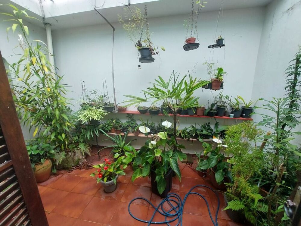 Casa, 4 quartos, 168 m² - Foto 3