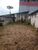 Terreno, 250 m² - Foto 3