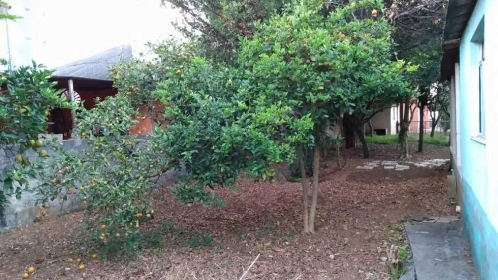 Terreno, 784 m² - Foto 3