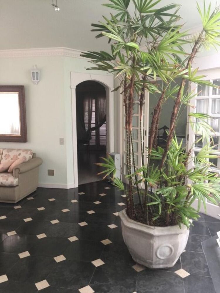 Sobrado, 5 quartos, 650 m² - Foto 3