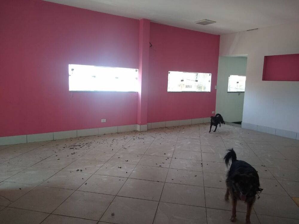 Prédio Inteiro, 237 m² - Foto 2