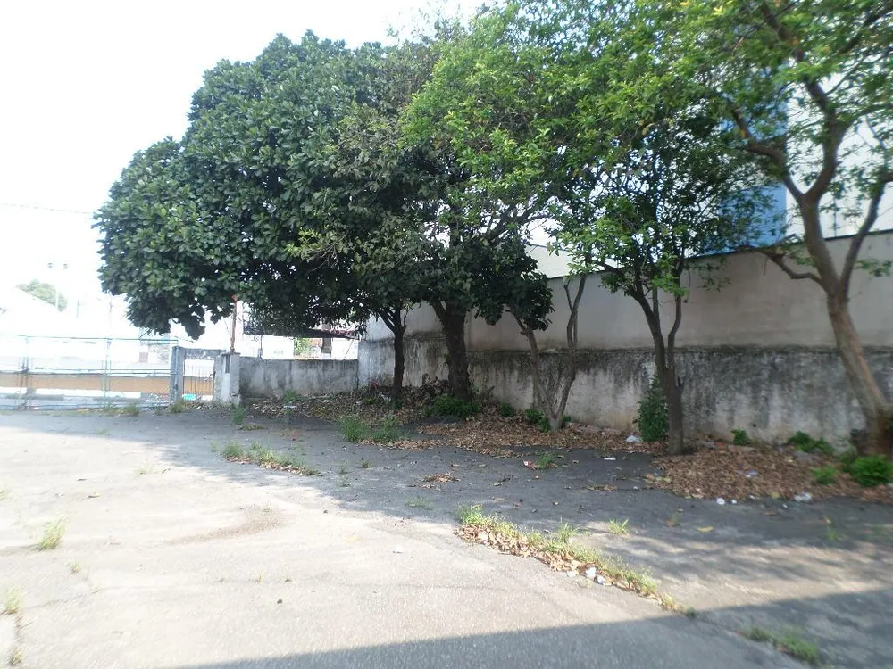 Depósito-Galpão, 810 m² - Foto 3