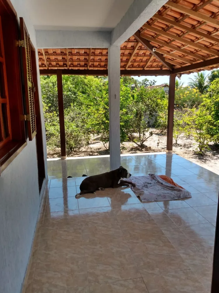 Chácara, 3 quartos - Foto 23