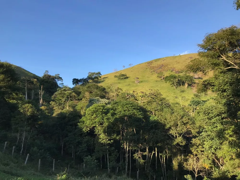 Sítio, 1 quarto - Foto 23