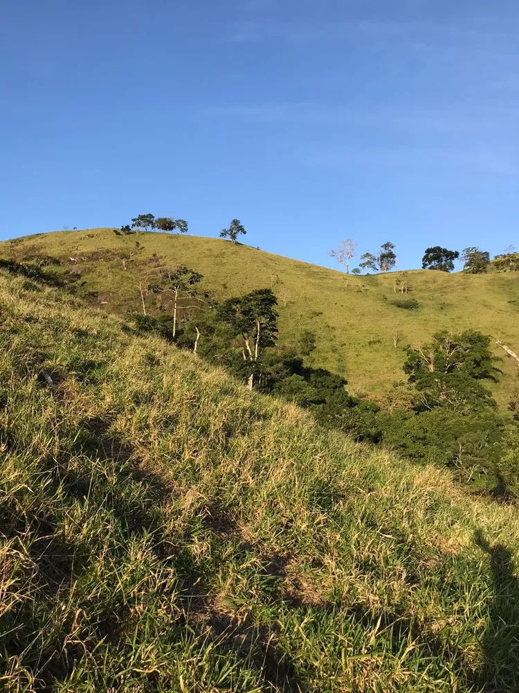 Sítio, 1 quarto - Foto 19