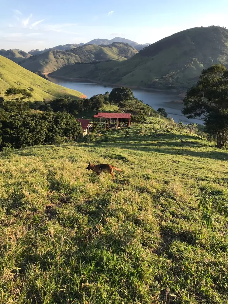 Sítio, 1 quarto - Foto 18