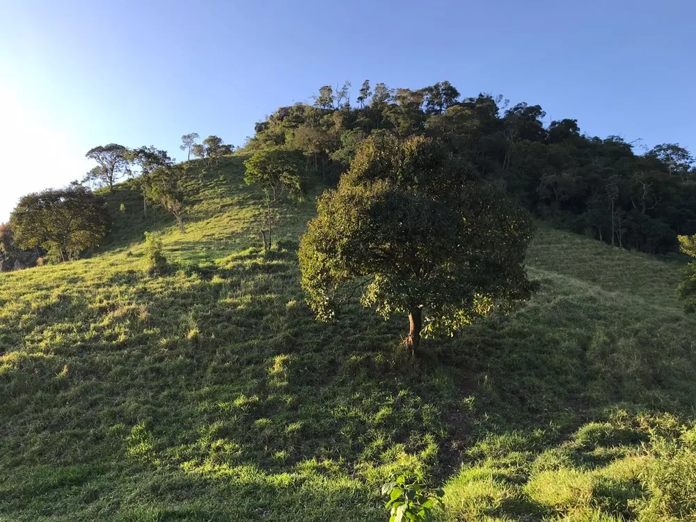 Sítio, 1 quarto - Foto 22