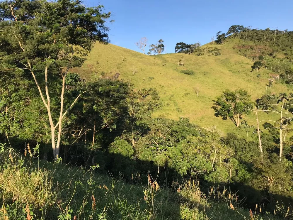 Sítio, 1 quarto - Foto 25