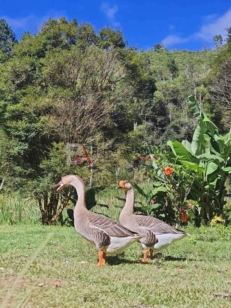 Sítio, 4 quartos - Foto 52