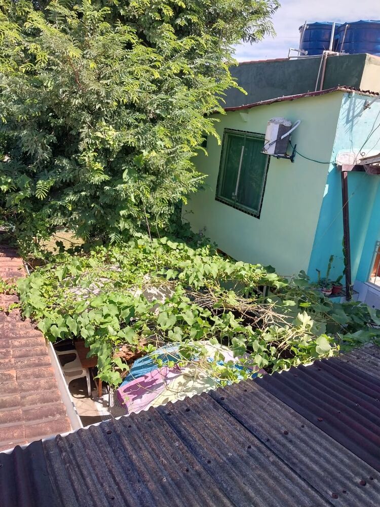 Casa, 6 quartos - Foto 7