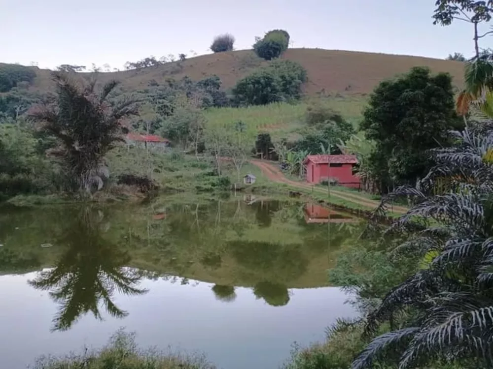 Fazenda - Foto 14