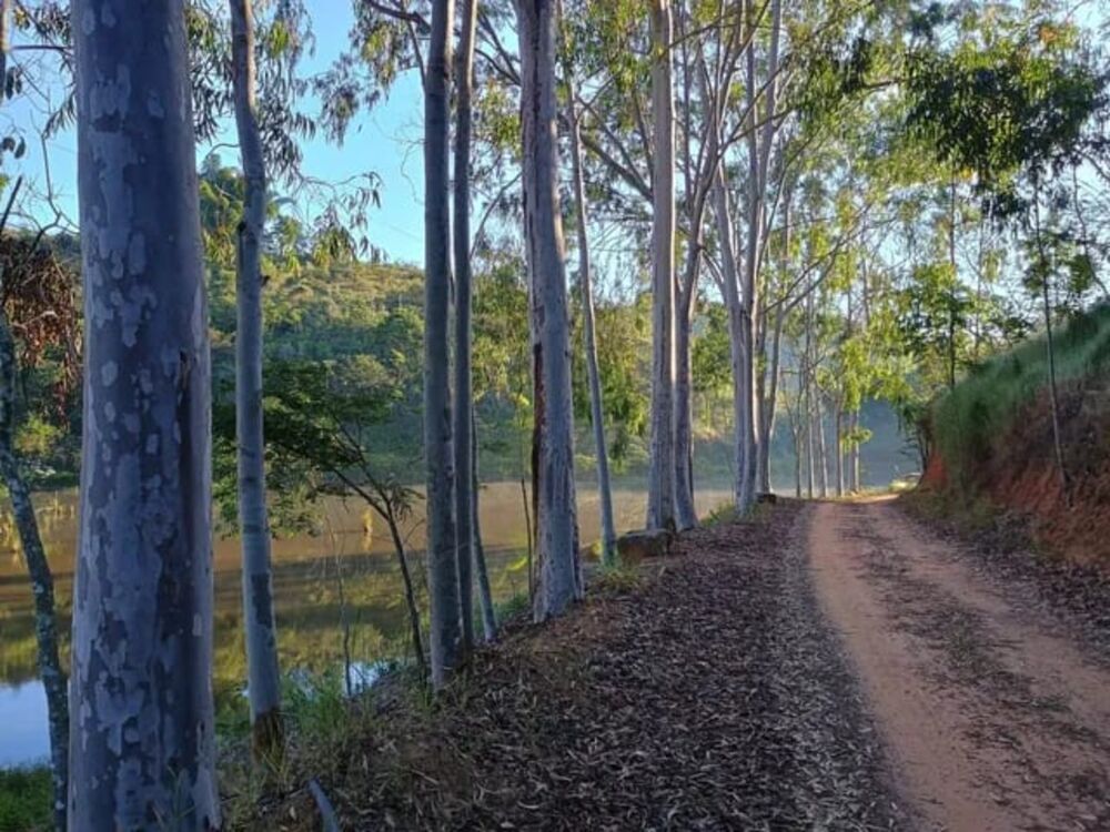 Fazenda - Foto 11