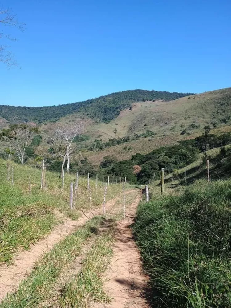 Fazenda - Foto 6