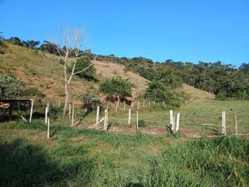 Fazenda - Foto 4