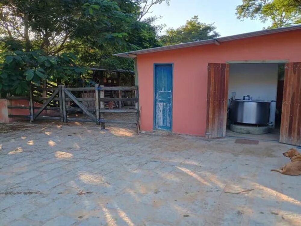 Fazenda - Foto 7