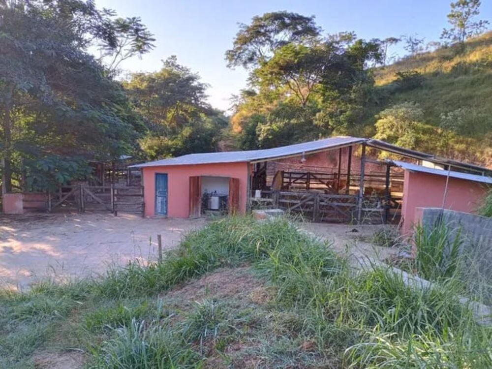 Fazenda - Foto 5