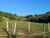 Fazenda-Sítio-Chácara - Foto 3