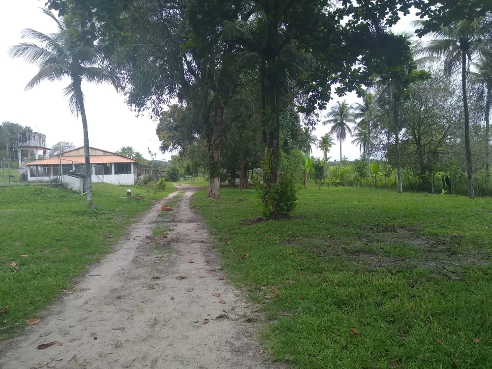 Sítio, 6 quartos - Foto 19