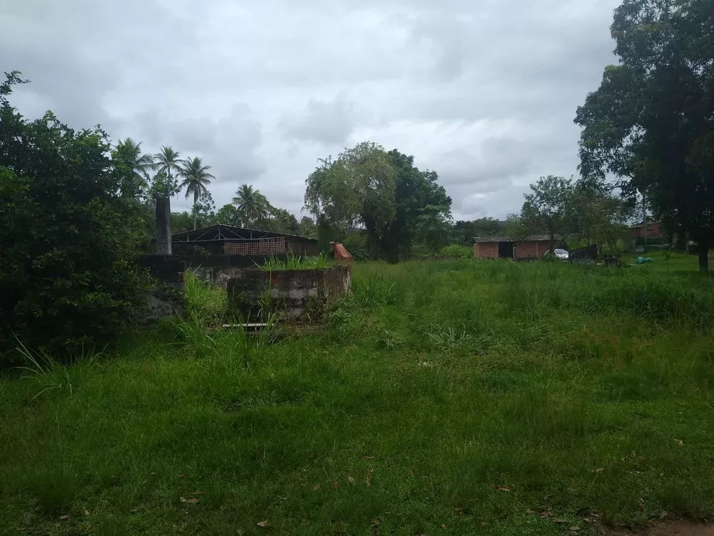 Sítio, 6 quartos - Foto 12