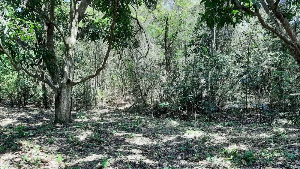 Sítio, 2 quartos - Foto 18