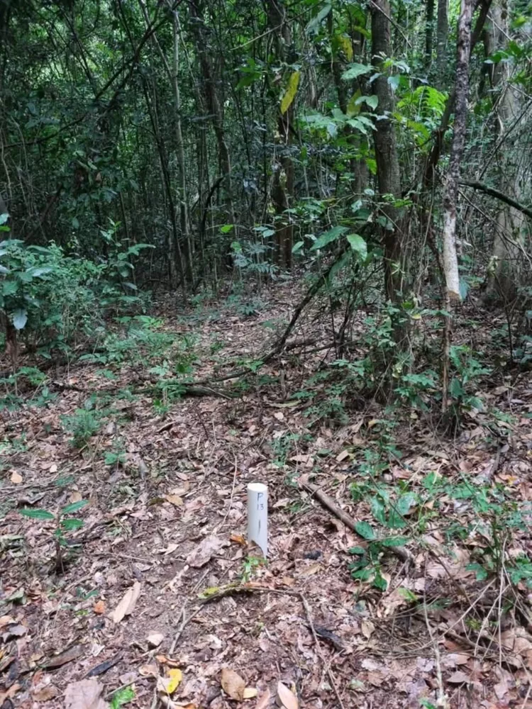 Sítio, 2 quartos - Foto 9