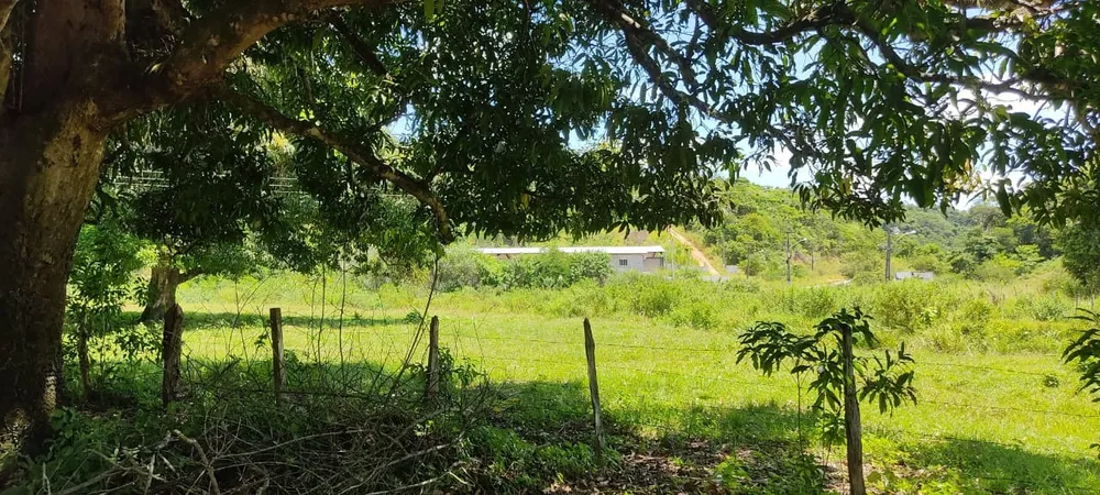 Terreno - Foto 3
