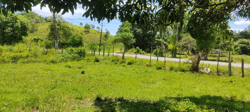 Terreno - Foto 6