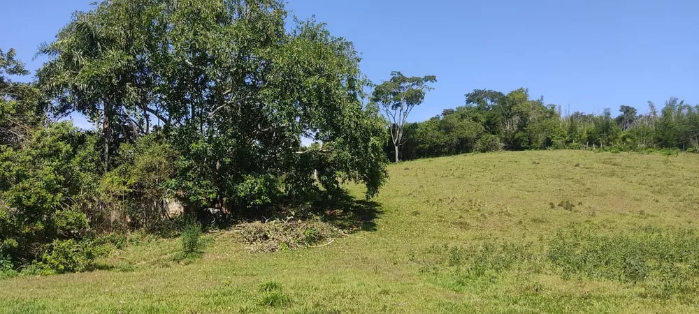 Terreno - Foto 4