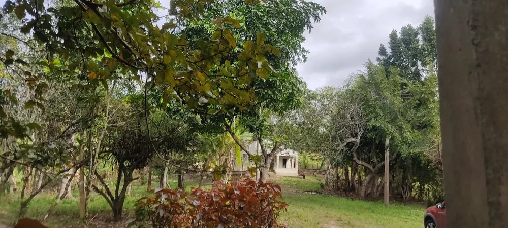 Terreno - Foto 12