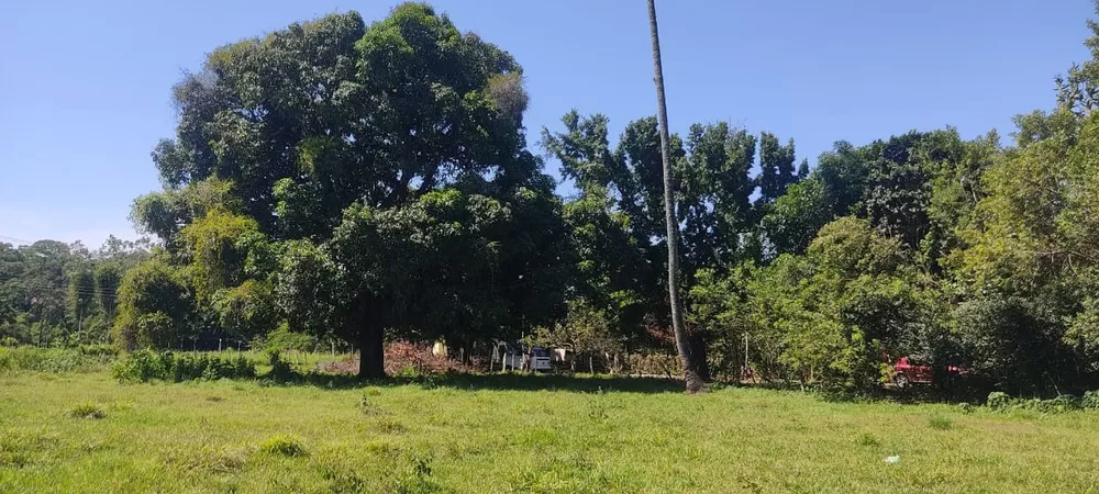 Terreno - Foto 7